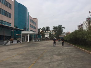 东莞东城区独院电子厂招租，原房东直租，位置优越交通便利